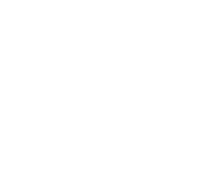 fifa